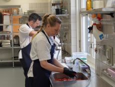 Medarbejdere Kokkenes Køkken