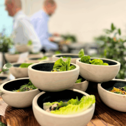 Skåle med grønt kantine